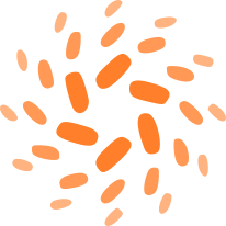 Insightful Impact Consultants Ltd. 